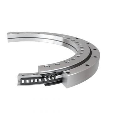 11.25.1461.001.21.1503 Standard 5 Slewing Ring Bearings