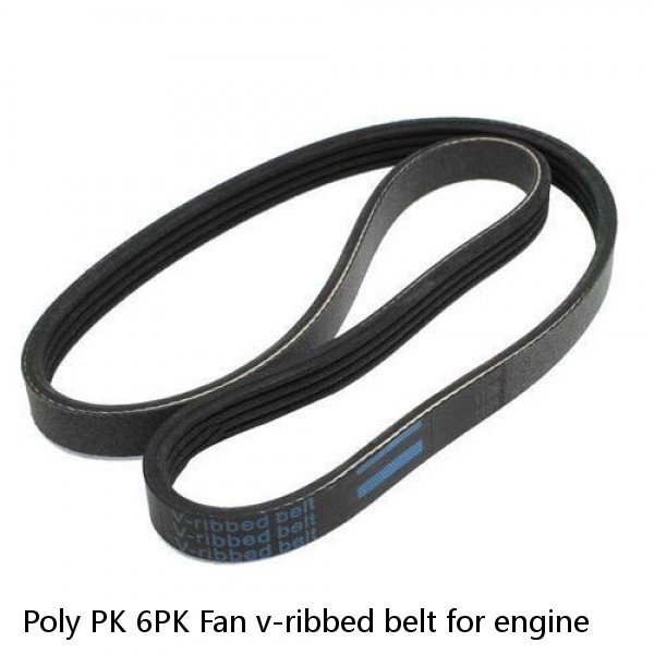 Poly PK 6PK Fan v-ribbed belt for engine