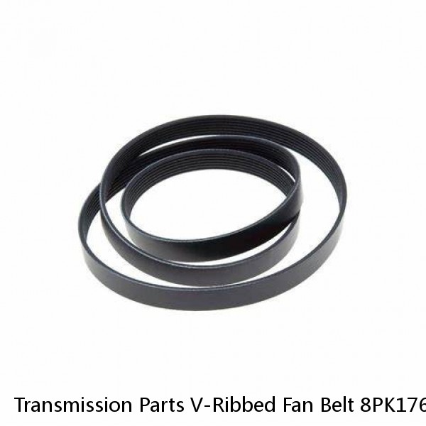 Transmission Parts V-Ribbed Fan Belt 8PK1760