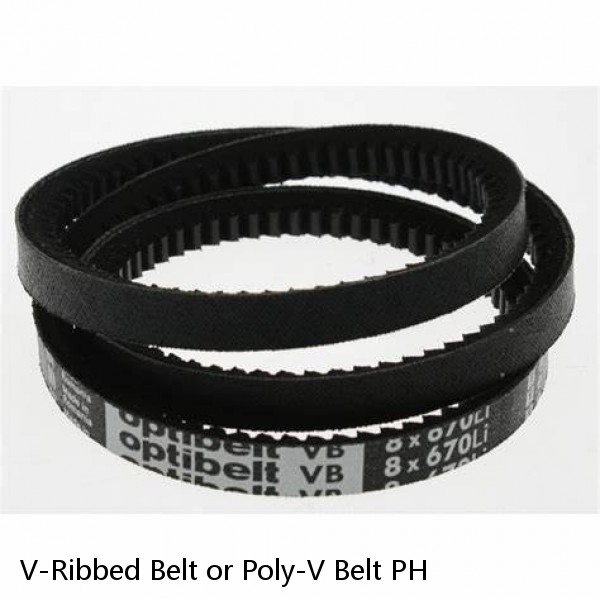 V-Ribbed Belt or Poly-V Belt PH